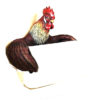 Novelty Rooster Design Toilet Roll Holder Metal Bathroom Decor Loo Roll Stand Storage Wall Mounted Toilet Roll Holder Bathroom Accessories Coloured Finish #6324 - Image 2