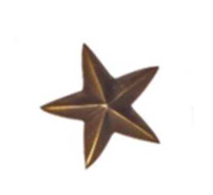 Decorative Nail Heads Brass Antique Domes Nails -75mm #1087 - Image 2