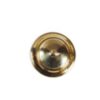 Decorative Nail Heads Brass Antique Domes Nail-32mm #1090