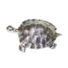 Metal Silver Tortoise Showpiece For Interior Decor Silver Metallic Designer Tortoise Showpiece Tortoise Carved in Metal Silver 190mm #9073 - Image 8