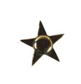 Decorative Nail Heads Brass Domes Star Design Clavos & Nails- 75mm #1103