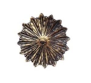 Decorative Nail Heads Brass Domes - 75mm #1113