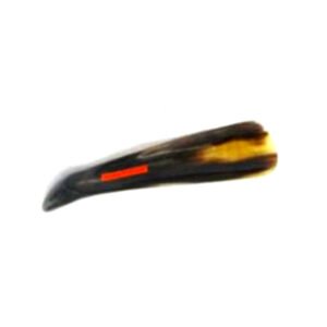 Shoe Horn Natural 215mm #2918