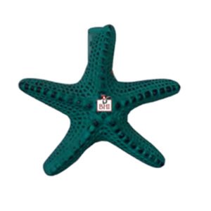 Cast Iron Door Knocker Star Fish 160mm #3165