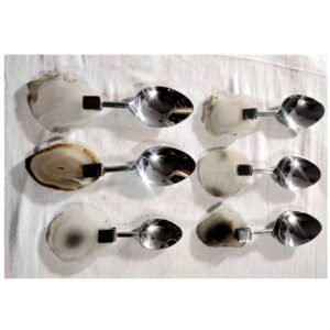 Steel 6 Pc Set of Ice ream Spoons With Agate Handles #6840