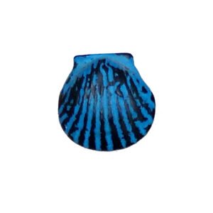 CAST IRON CABINET KNOB HAND PAINTED 45mm #823 (Set of 6 Pcs)