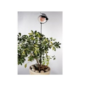 Ceramic Dwarf Umbrella Tree shown It helps prevent both over watering and under watering #9111