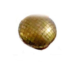 Brass Cabinet Knob 35mm #2186(Set of 6 Pcs)