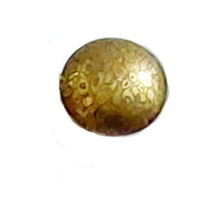 Brass Cabinet Knob 35mm #2203 (Set of 6 Pcs)