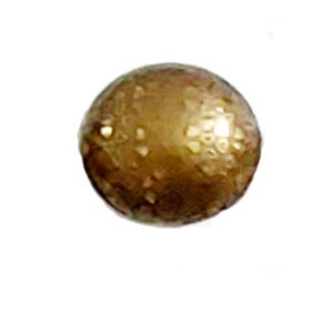 Brass Cabinet Knob 35mm #2205  (Set of 6 Pcs)