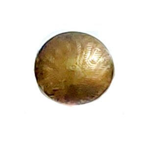 Brass Cabinet Knob 35mm #2213 (Set of 6 Pcs)