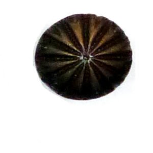 CAST IRON CABINET KNOB 32mm #3060 (Set of 6 Pcs)