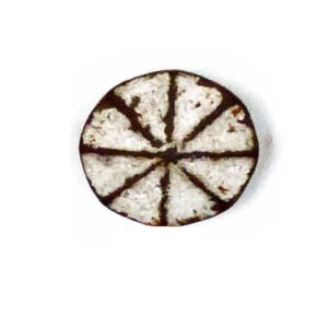 CAST IRON CABINET KNOB 45mm #3070 (Set of 6 Pcs)