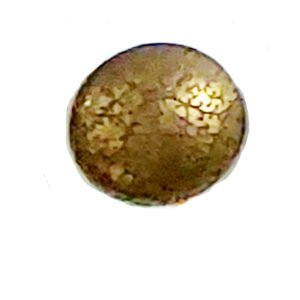 BRASS CABINET KNOB 35mm #2222 (Set of 6 Pcs)