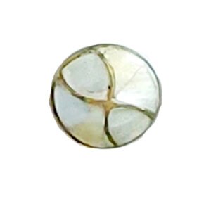 BRASS CABINET SEA SHELL KNOB 35mm #2226 (Set of 6 Pcs)