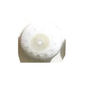 CERAMIC	CABINET KNOB 37mm #3643 (Set of 6 Pcs)